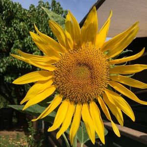 Meet your Posher, Robyn